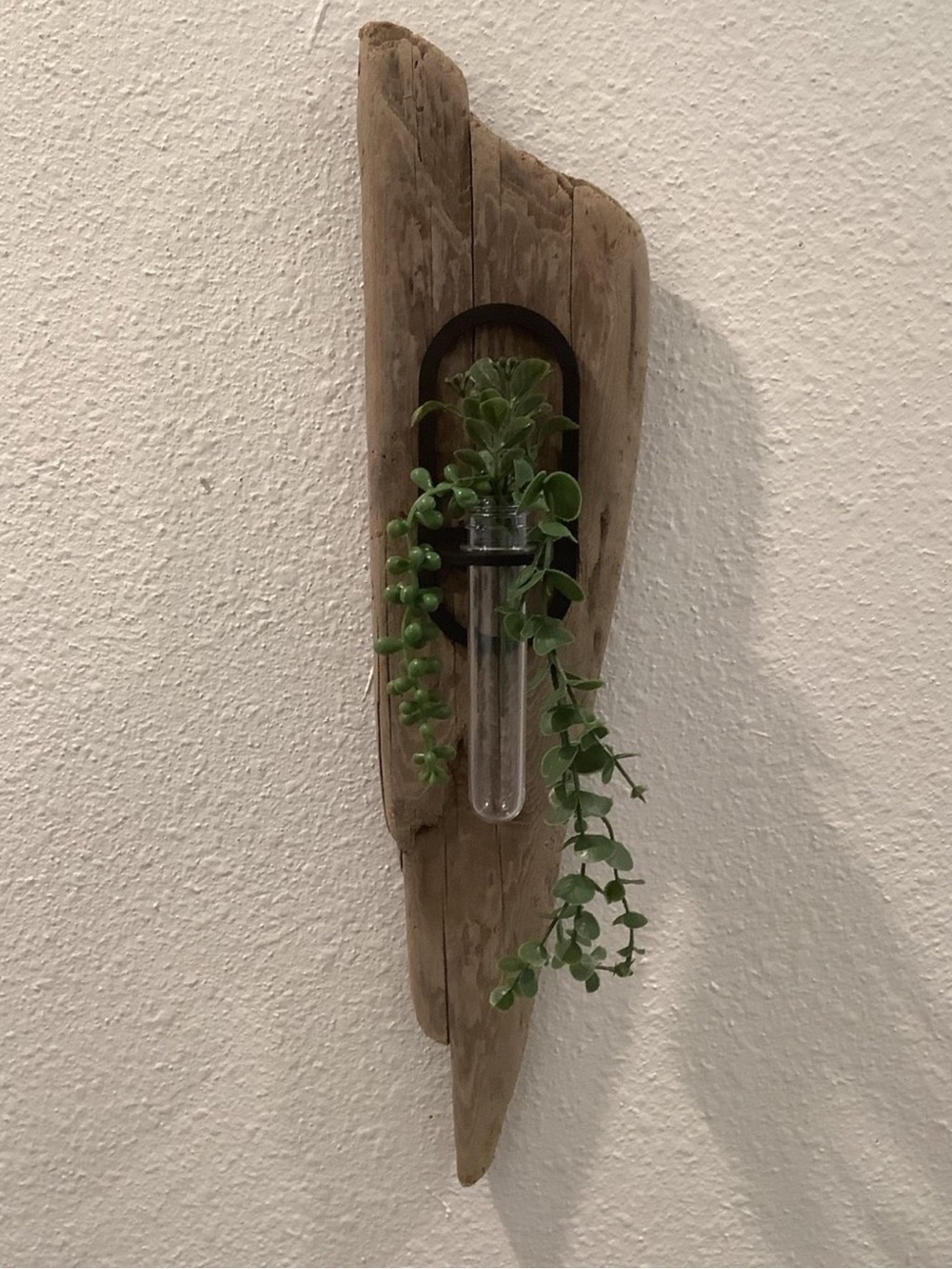 Driftwood Art , Driftwood Hanging Plant Plaque, Driftwood Coastal Art - Picture 2 of 8